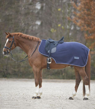 Waldhausen Economic Fleece-Nierendecke WB blau