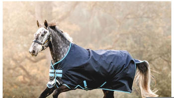Horseware Amigo Bravo 12 Original 50g 130cm navy/türkis