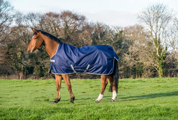 Bucas Outdoordecke Freedom Turnout High Neck 150g 125cm navy/silver
