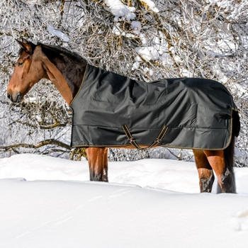 Bucas Irish Turnout Extra High Neck 300g 115cm schwarz/gold
