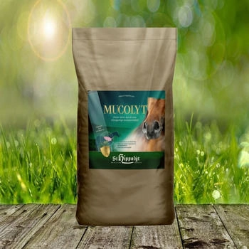 St. Hippolyt Mucolyt Atemwegskur 25 kg
