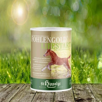 St. Hippolyt Fohlengold Lifestart 100 gr. Dose - Neu im Sortiment - Ergänzungsfuttermittel