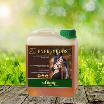 St. Hippolyt WES Energy Boost 5 Liter Kanister