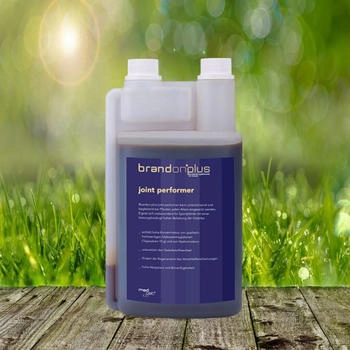 St. Hippolyt Brandon plus joint performer 1,2 Liter
