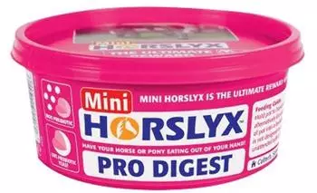 DERBY Horslyx Pro Digest 650 g