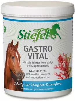 Stiefel Gastro Vital ( / )