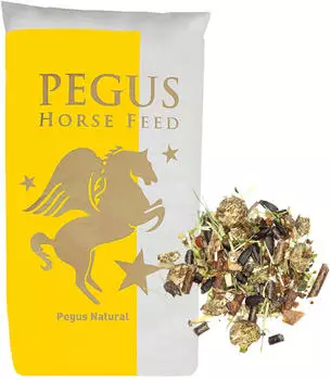Pegus Pegus Natural Müsli getreidefreies melassefreies strukturreiches Müsli für Pferde 20 kg Sack