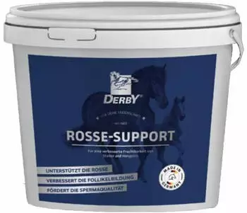 DERBY Rosse-Support 3,2 Kilogramm