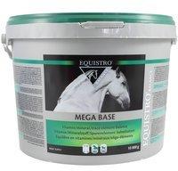 Equistro 22155, 10 kg Equistro Mega base