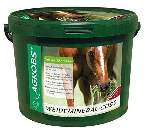 Agrobs Weidemineral-Cobs (3 Kg)