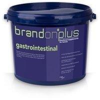 Gastrointestinal f&uuml;r Pferde 3 kg