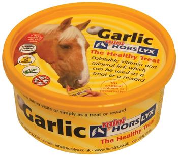 Sectolin Horslyx Garlic Mini 650 g