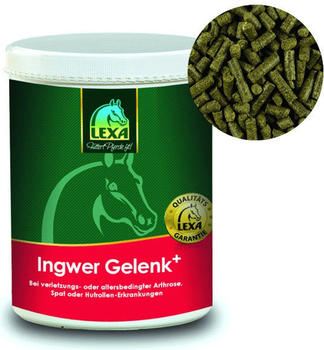 Lexa Ingwer Gelenk+ 1 kg