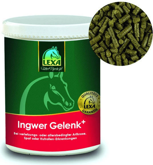 Lexa Ingwer Gelenk+ 1 kg