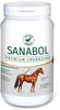 Atcom Horse Ergänzungsfutter Sanabol Dose 1KG
