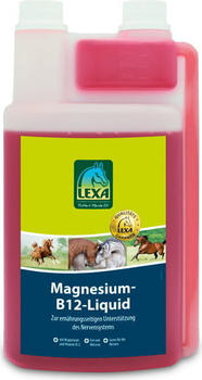 Lexa Magnesium-B12-Liquid 1L