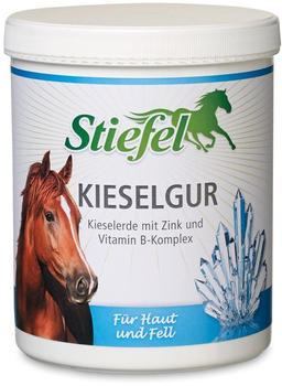Stiefel Kieselgur - 1kg