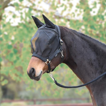 Busse Fliegenhalfter Fast Pony schwarz