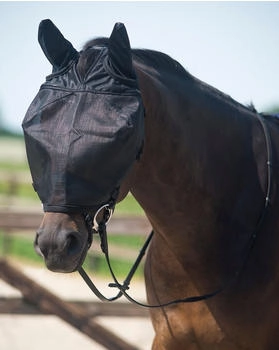 QHP Reitfliegenmaske mit Ohrenschutz Schwarz Shetty
