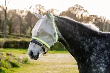 Horseware Amigo Fly Mask, Pony, Silver/Lime