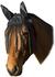 USG United Sportproducts Fliegenhaube mit Ohrenschutz und Fransen