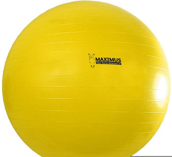 Holland Animal Care Maximus Power Play Ball 100cm gelb