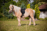 "Kerbl Sattelset Economy Pony 15" 325415"
