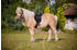 Kerbl Sattel Set Pony Economy