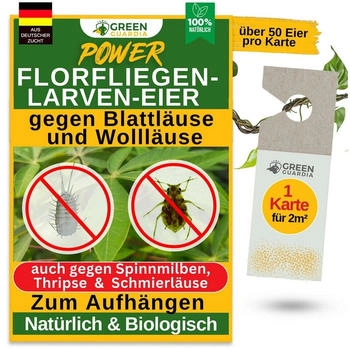 Green Guardia Power Florfliegenlarven-Eier gegen Blattläuse und Wollläuse