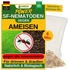 Green Guardia Power SF-Nematoden gegen Ameisen
