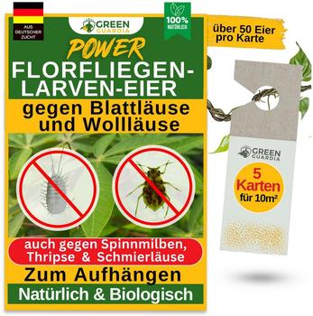 Green Guardia Power Florfliegenlarven-Eier gegen Blattläuse und Wollläuse 5 x Karten