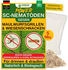 Green Guardia SC-Nematoden gegen gegen Maulwurfsgrillen, Wiesenschnaken und Erdraupen