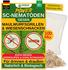 Green Guardia SC-Nematoden gegen gegen Maulwurfsgrillen, Wiesenschnaken und Erdraupen