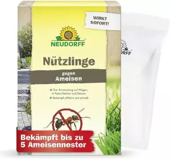 Neudorff gegen Ameisen 5 Mio. SF-Nematoden