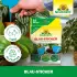 Neudorff Blau-Sticker Thripse 10 Stück