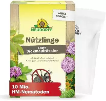 Neudorff gegen Dickmaulrüssler 10 Mio HM-Nematoden