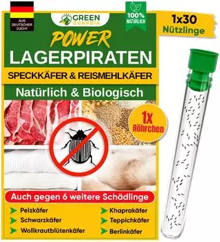 Green Guardia Lagerpiratenb 30 Stck.