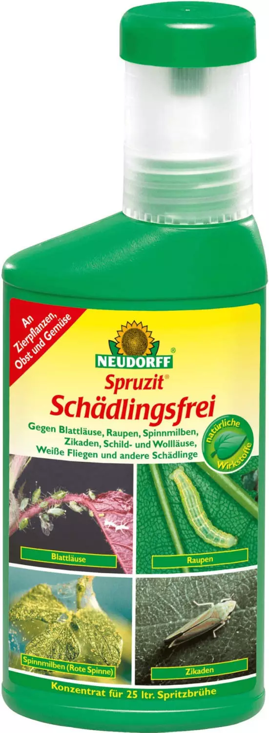 bio saatgut erdbeere Saatgut Erdbeere
