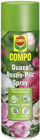 COMPO Duaxo Rosen-Pilz Spray 400ml