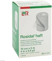 Rosidal haft Kompressionsbinde 10 cmx5 m 1 St