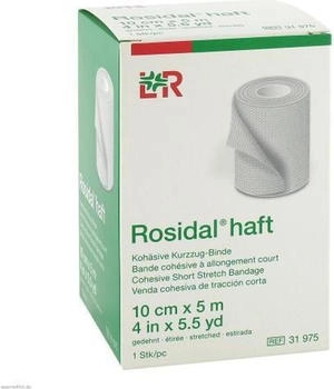 LR Rosidal haft 10 cm x 5 m unsteril 1 Stück