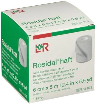 LR Rosidal haft 6 cm x 5 m unsteril 1 Stück