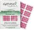 Gatapex Akupunkturpflaster pink