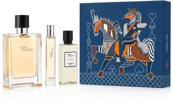 Hermès Terre d'Hermès Geschenkset Eau de Toilette 100ml + 15ml + Rasierwasser 40ml