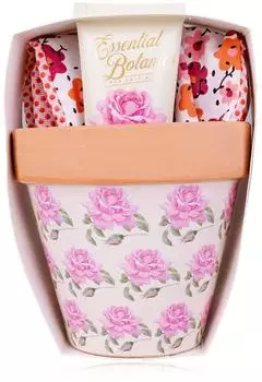 Accentra Handpflegeset "Essential Botanics" im Blumentopf, Rosen-Duft