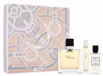 Hermès Terre d'Hermès Travel Essentials Set EdT 100ml + 15ml + Duschgel 40ml