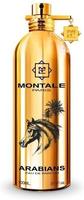Montale Arabians Edp Spray 0,1 l