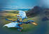 Playmobil Novelmore - Drache im Gefecht (71644)