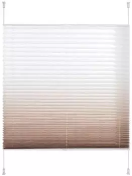 Liedeco Plissee Farbverlauf 120x130cm braun