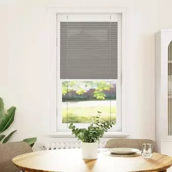 vidaXL Plissee anthrazit 60x100cm, Polyester (4015067)
